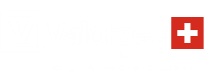 Valorsec Logo New W